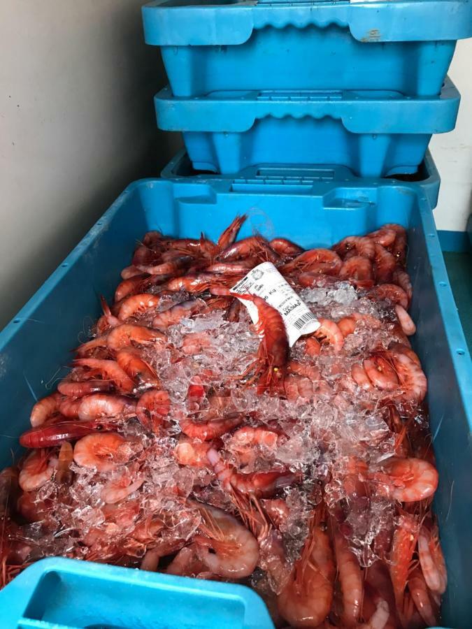 Casita De Pescador Apartman Calafell Kültér fotó